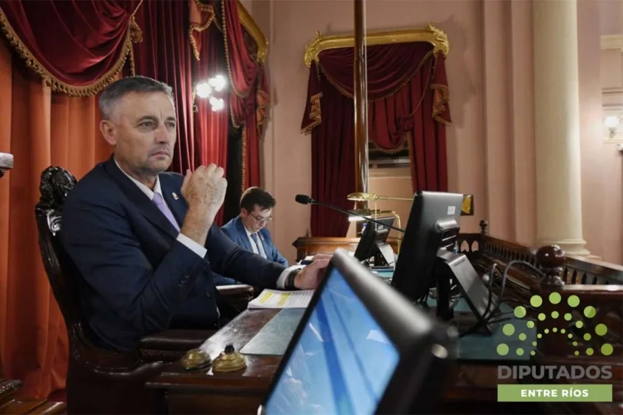 El presidente de Cámara Baja, Gustavo Hein