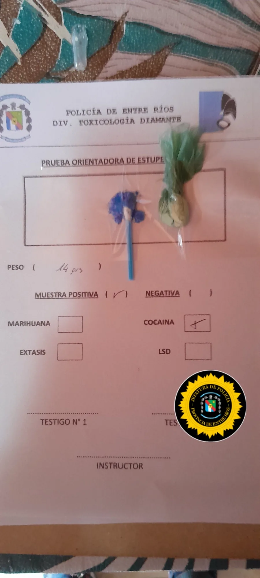 La droga incautada. (foto: Policía de Entre Ríos)
