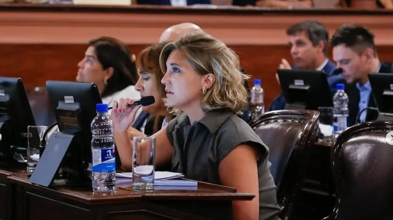Stefanía Cora ocuparía la banca que dejó Edgardo Kueider tras ser expulsado del Senado. (Foto: Instagram/@StefaníaCoraok).