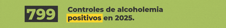 Diputados CONTROLES DE ALCOHOLEMIA