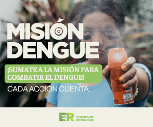 ER-MisionDengue-Banners_300x250-01