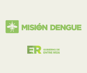 ER-MisionDengue-Banners_300x250-04