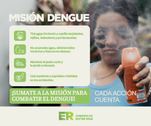 ER-MisionDengue-Banners_300x250-06